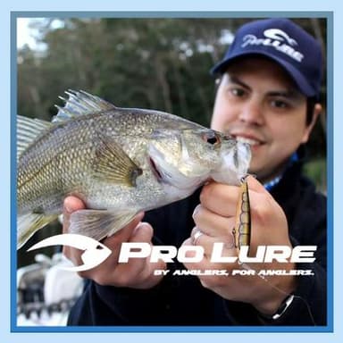 PRO LURE