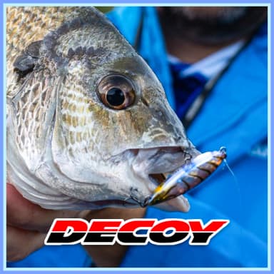 DECOY