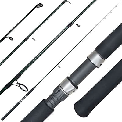 SHIMANO TREVALA RODS
