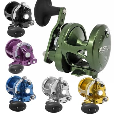 Avet Reels Lx6.0 G2