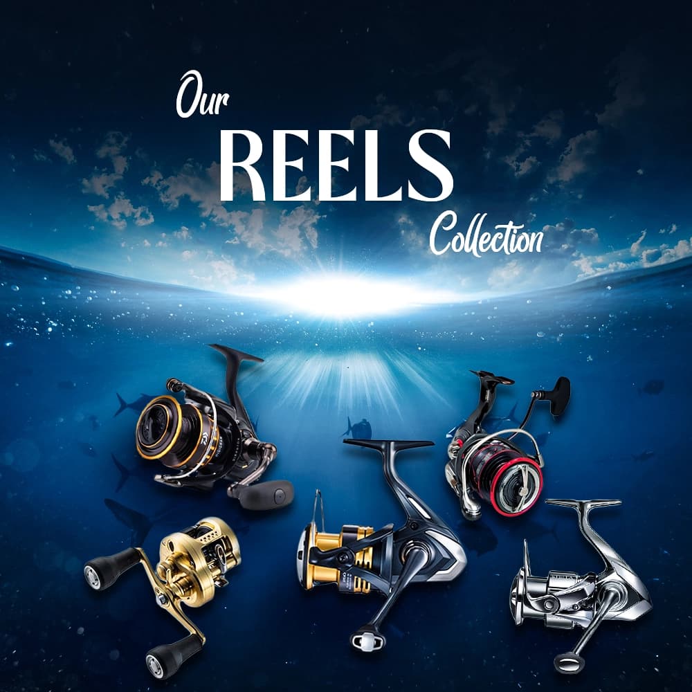 Reels Collection
