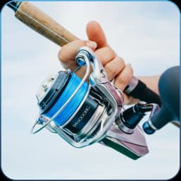 REELS