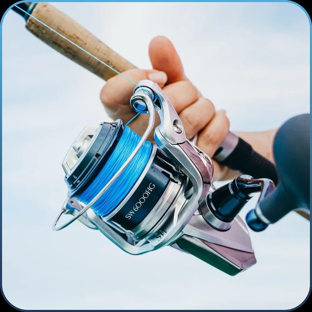 REELS