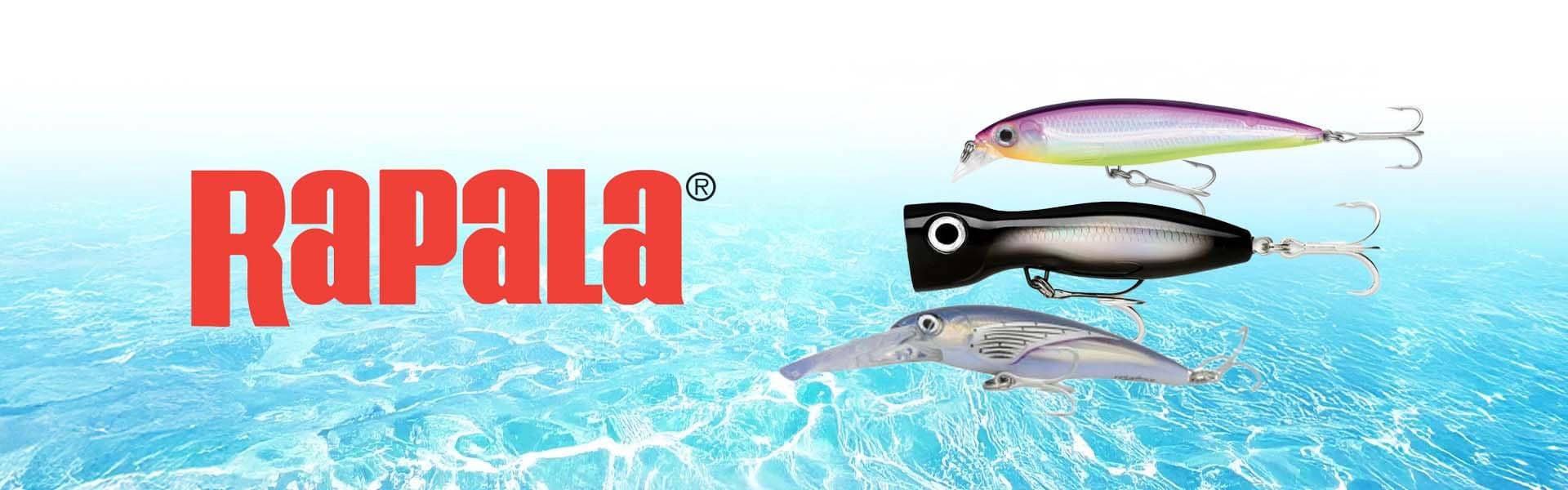 Banner image 1